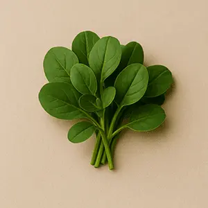 Mind Vault Ingredient