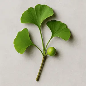 Mind Vault Ingredient