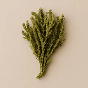 Mind Vault Ingredient